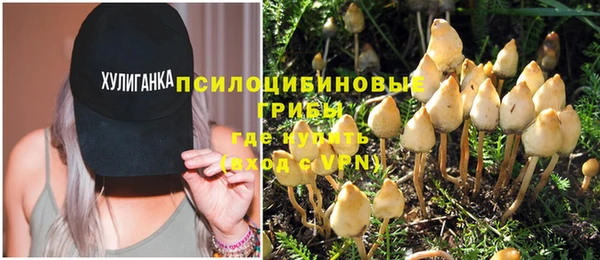 крисы Нязепетровск