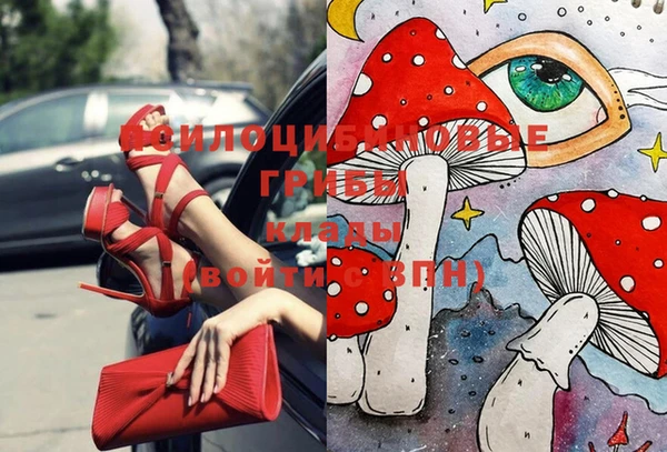 хмурый Армянск